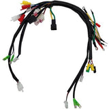MotoTec E-Bully 36v ATV Wire Harness V1
