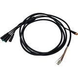 MotoTec 48v 1000w Folding Trike Wire Harness