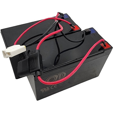 MotoTec 24v 250w (HP120e) Electric Mini Bike - Battery Pack
