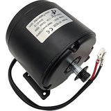 MotoTec 36v 300w (HP122e) Electric Dirt Bike - Motor