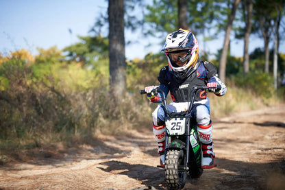 Color - Black - MotoTec 24V 250W Electric Powered Mini Bike