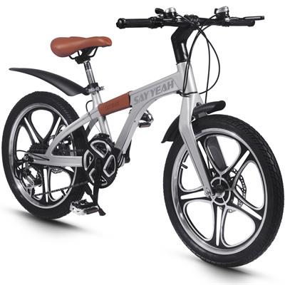 Color - Silver - Say Yeah Pedal Bicycle 20 inch Silver