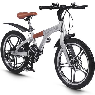 Say Yeah Pedal Bicycle 20 inch Silver
