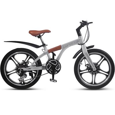 Say Yeah Pedal Bicycle 20 inch Silver