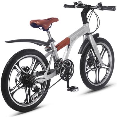 Say Yeah Pedal Bicycle 20 inch Silver