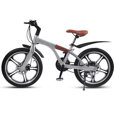 Say Yeah Pedal Bicycle 20 inch Silver