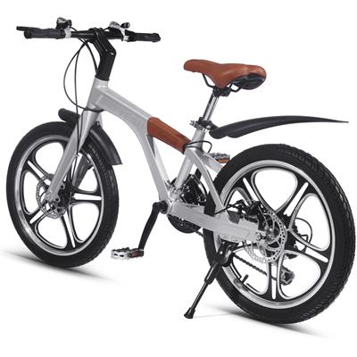 Say Yeah Pedal Bicycle 20 inch Silver