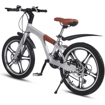 Color - Silver - Say Yeah Pedal Bicycle 20 inch Silver